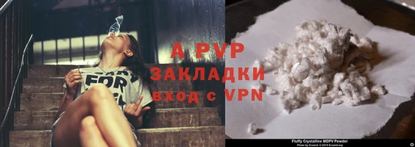ECSTASY Михайлов