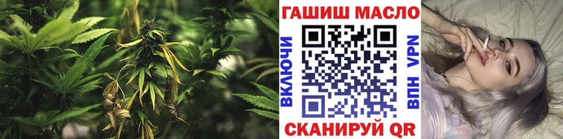 Дистиллят ТГК гашишное масло наркошоп Александров