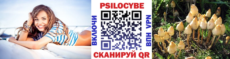 где купить наркотик  Александров  Галлюциногенные грибы мухоморы 